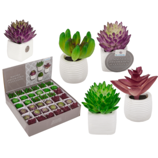 Magnet, succulent in white pot,