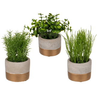 Decoration herbs in grey/gold coloured cement pot,