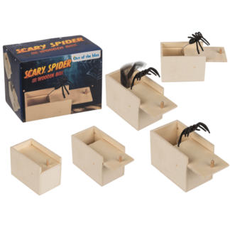 Scary spider in wooden box,