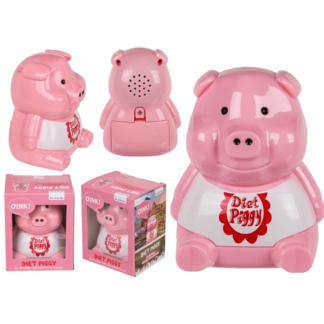 Plastic diet piggy for the fridge,
