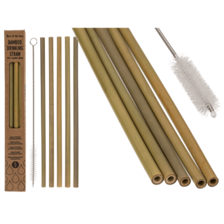 Drinking straw with cleaning brush,