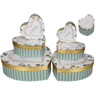 White/green colored present box in heart shape,