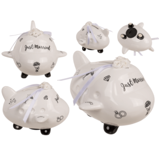 Saving bank, airplane, Just Married,